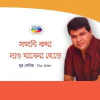 Shojoni Kotha Dao Jabe Na Chere Nur Salim Song Download Mp3