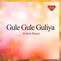 Lade Laode Lade Gulein Banor Song Download Mp3