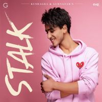 Stalk Kushagra Song Download Mp3