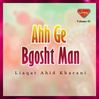 Hamesha Zindgi Sanga Liaqat Abid Kharani Song Download Mp3