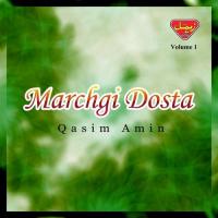 Tou Naye Aye Mancho Kana Qasim Amin Song Download Mp3