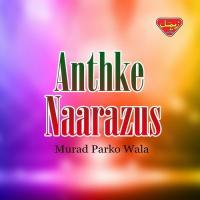 Jammara Jarika Murad Parko Wala Song Download Mp3