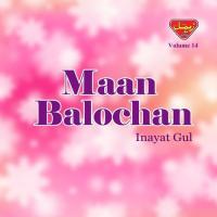 Asmana Dost Washe Inayat Gul Song Download Mp3