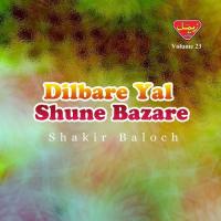 Dilbare Yal Shune Bazare Shakir Baloch Song Download Mp3