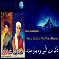 Meri Nas Nas Bole Nabi Nabi Hamza Ahmed Quershi Song Download Mp3