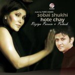 Kotodin Dekhini Tomay Polash,Rizia Parvin Song Download Mp3