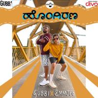 Hongirana EmmJee,Gubbi Song Download Mp3