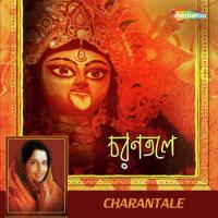 Maa Tor Pujar Kato Anuradha Paudwal Song Download Mp3