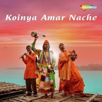 Krishner Naam Korne Biswanath Adhikari Song Download Mp3