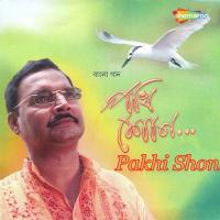 Ei Meye Madhusudan Ganguly Song Download Mp3