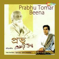 Ami Jakhan Tanr Duare Agnibin Chattopadhyay Song Download Mp3