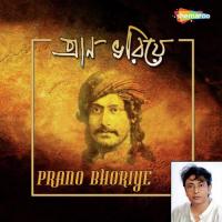 Amar Bela Je Jaai Pritha Mazumdar Song Download Mp3