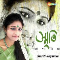 Dibosha Rajani Ami Jeno Taar Manishita Song Download Mp3