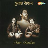 Akashjure Shuninu Pijushkanti Sarkar,Swapan Chaudhuri,Ustad Aashish Khan Song Download Mp3