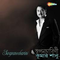 Na Na Go Kumar Sanu Song Download Mp3