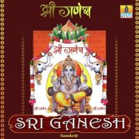 Ashtottar Shata Naam 108 Naam Shankar Shanbhogue Song Download Mp3