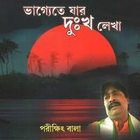 Proti Bochor Sorotkale Parikshit Bala Song Download Mp3