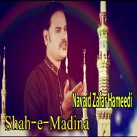 Khudaya Fazal Farma Navaid Zafar Hameedi Song Download Mp3