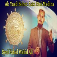 Allah Mere Mula Mere Syed Fahad Wahid Ali Song Download Mp3