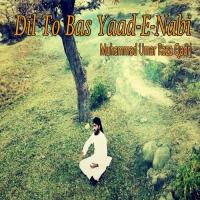 Dil To Bas Yaad-e-Nabi Muhammad Umar Raza Qadri Song Download Mp3