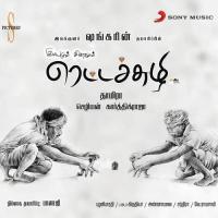 Naan Endru Sol Hariharan,Karthik Raja,Sriram Parthasarathy,Haricharan,K.Balachandar,Bharathiraja Song Download Mp3