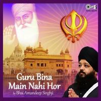 Guru Bina Main Nahi Hor Bhai Amandeep Singh Song Download Mp3