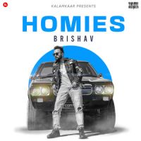 Homies Brishav Song Download Mp3