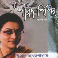 Jete Jete Kache Ese Sriradha Banerjee Song Download Mp3