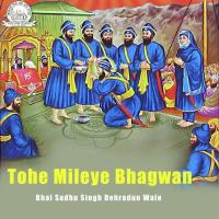 Pujo Ram Pujo Ram Bhai Sadhu Singh Dehradun Wale Song Download Mp3