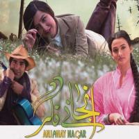 Anjanay Nagar Mann Manay Thay Nayyara Noor Song Download Mp3