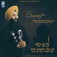 Satnam Waheguru Bhai Sarabjit Singh Ji Takhat Sri Patna Sahib Wale Song Download Mp3