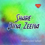 Aha Made Khowa Washeyani Sahail Song Download Mp3