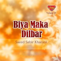 Hal Biya Aey Janeka Saeed Sabir Kharani Song Download Mp3