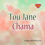 Tou Jane Chama Liaqat Abid Kharani Song Download Mp3