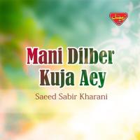 Dushki Bur Musha Saeed Sabir Kharani Song Download Mp3