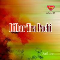 Tama Girey O Dilbar Saif Jan Song Download Mp3