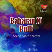 Baharan Ni Pulli Saeed Sabir Kharani Song Download Mp3