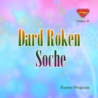 Sapa Bhi Wab Rocha Naseer Program Song Download Mp3