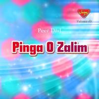 Mana Dost Zalim Peer Dad Song Download Mp3