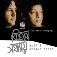 Bishonno Sondhay Asif Song Download Mp3