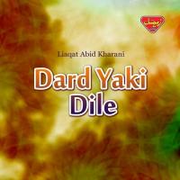 Dard Yaki Dile Liaqat Abid Kharani Song Download Mp3