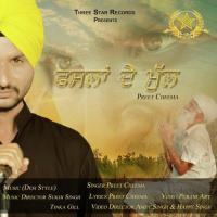 Fassllan De Mull Preet Cheema Song Download Mp3