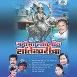 Ghanta Vajalay Karlyachya Dongarat - DJ Prakash Tandel Song Download Mp3