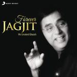 Tu Jo Aa Jaye Jagjit Singh Song Download Mp3