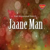 Mani Mahran Judai Wali Muhammad Baloch Song Download Mp3