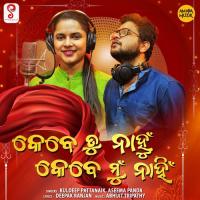 Kebe Tu Nahu Kebe Mu Nahi Kuldeep Pattanaik,Aseema Panda Song Download Mp3