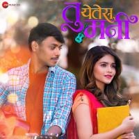 Tu Yetes Mani Hrishikesh Ranade Song Download Mp3