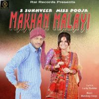 Dass Nai Sakdi Seepa Sardulgaria Song Download Mp3