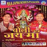 Nawratan Me Sonu Bihari,Dilip Dilwala Song Download Mp3