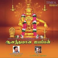 Irumudi Thangiyea Nidhin Lal Song Download Mp3